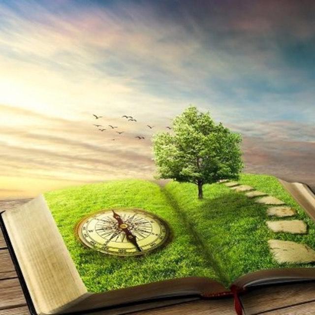 YVES ROCHER - BLAKSTIENŲ TUŠO PLĖTRA.